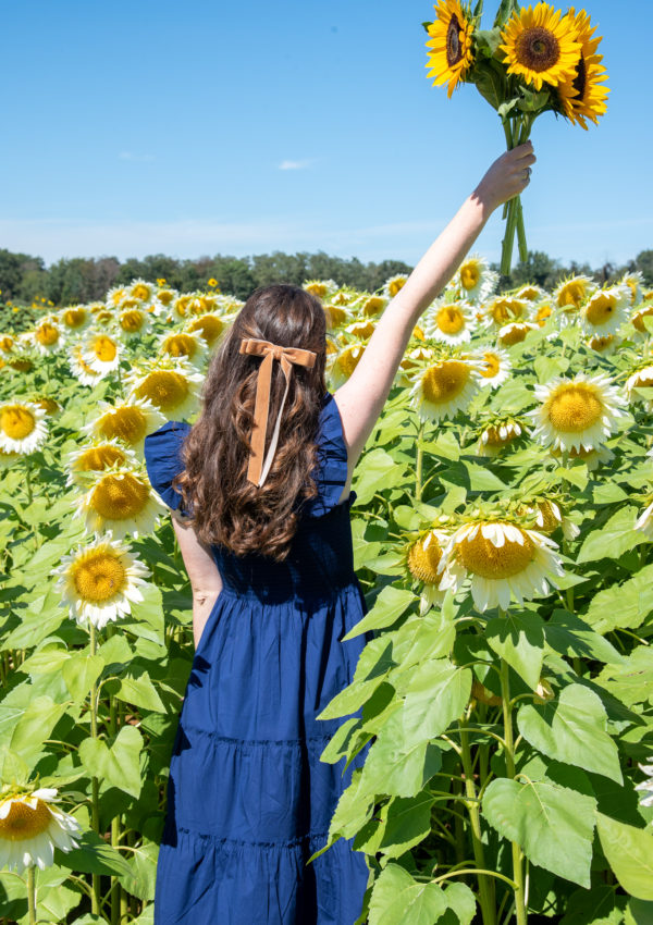 My Review of Holland Ridge U-Pick Sunflower
